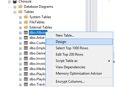 Screenshot of table design in SQL Server Management Studio