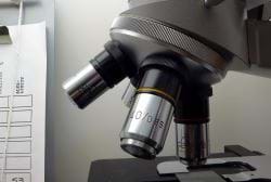 Microscope Analyzing Site Statistics Microscope Analyzing Site Statistics