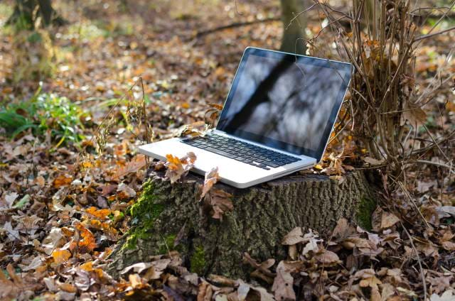 Laptop sitting on a stump in the woods