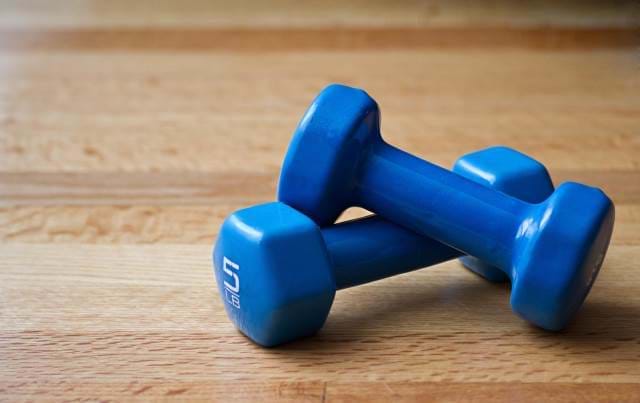 Progressive Web App Weigh-in Two 5lb dumb bells