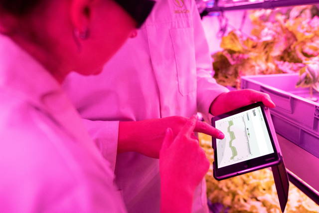 Picture of two scientists examining a tablet