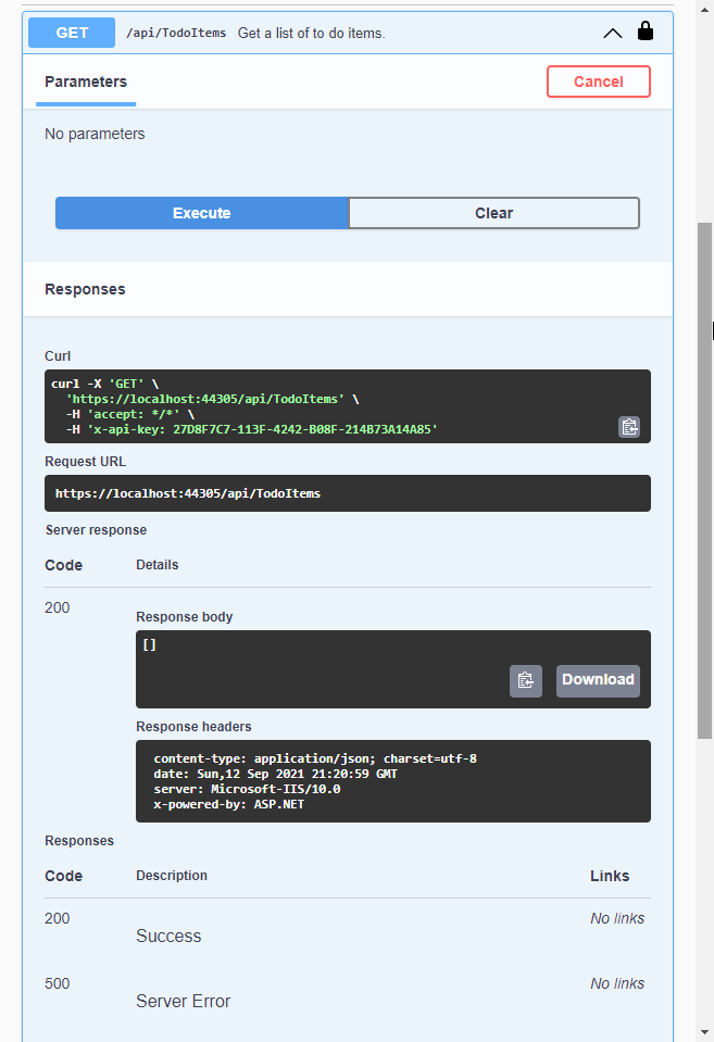 Screenshot of successful authorization of Swagger documentation