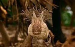 Every Programmer needs a 'Wilson' Every Programmer needs a 'Wilson' (from Castaway with Tom Hanks)