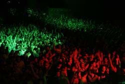 DanylkoWeb's One Year Anniversary Red Green Party