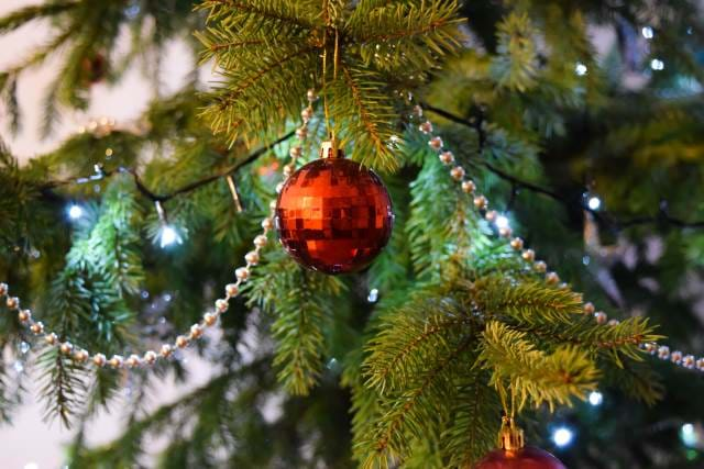 Red Bulb on a Christmas Tree