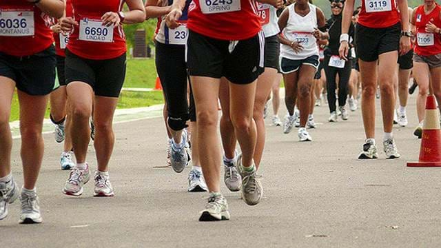 A large group of runner's legs